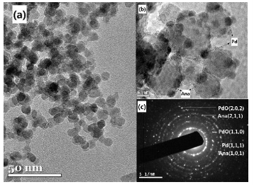 SSF-made Pd@TiO2 Nano Catalysts